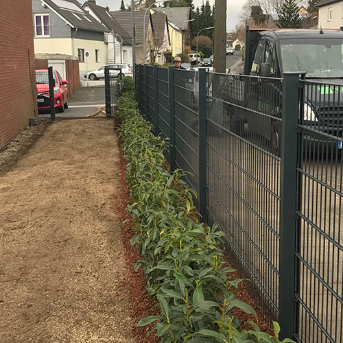 0588-zaunanlage_dennis-nadler-garten-landschaftsbau-bergisch-gladbach-krten-refrath-rheinberg