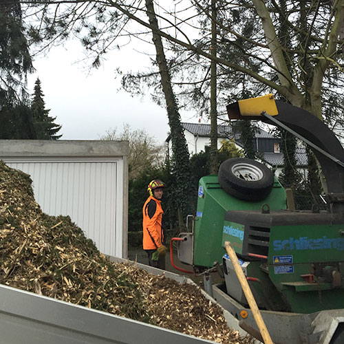 2616-entsorgung_dennis-nadler-garten-landschaftsbau-bergisch-gladbach-krten-refrath-rheinberg