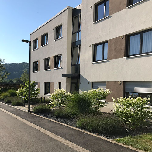 5337-vorgarten_dennis-nadler-garten-landschaftsbau-bergisch-gladbach-krten-refrath-rheinberg